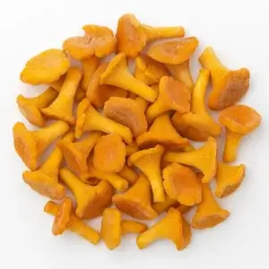 Гриб лисичка ціла (пак 2,5 кг)/2