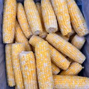 Кукурудза солодка БІКОЛОР качан небланшована сорт (ящ 10кг)/1